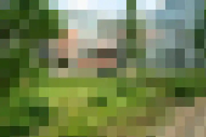 Koningin Emmalaan 29 75 Ermelo thumbnail 39