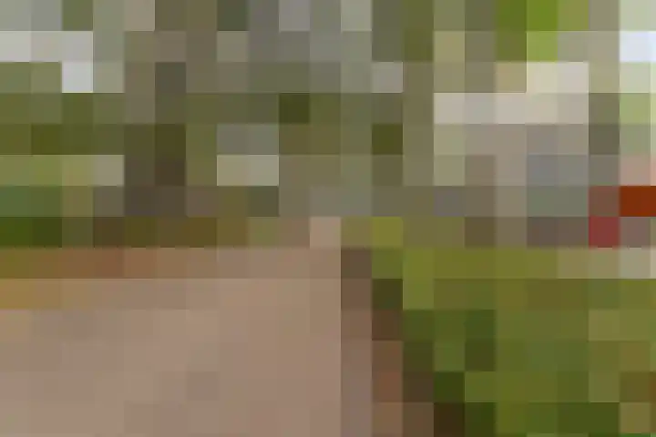Koningin Emmalaan 29 75 Ermelo thumbnail 42