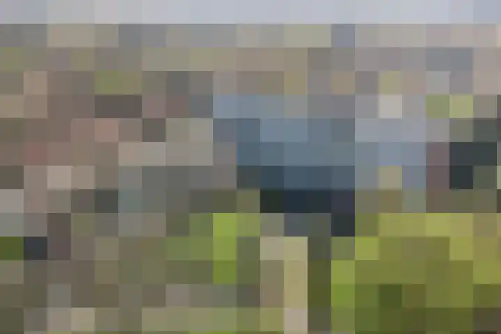 Koningin Emmalaan 29 75 Ermelo thumbnail 43
