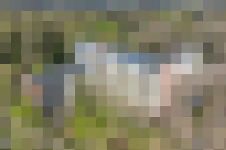 Koningin Emmalaan 29 75 Ermelo thumbnail 45