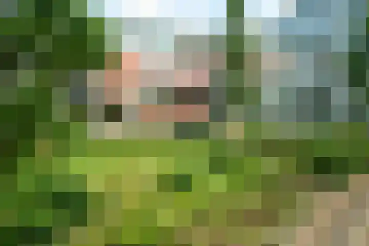 Koningin Emmalaan 29 75 Ermelo thumbnail 6