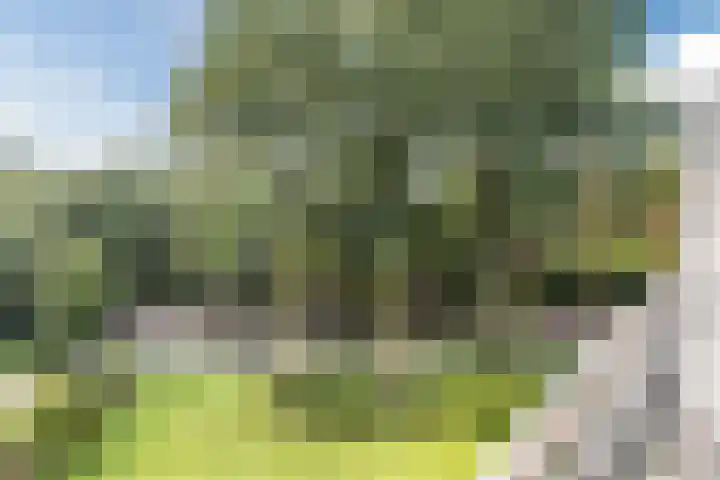 Koningin Emmalaan 29 80 Ermelo thumbnail 31