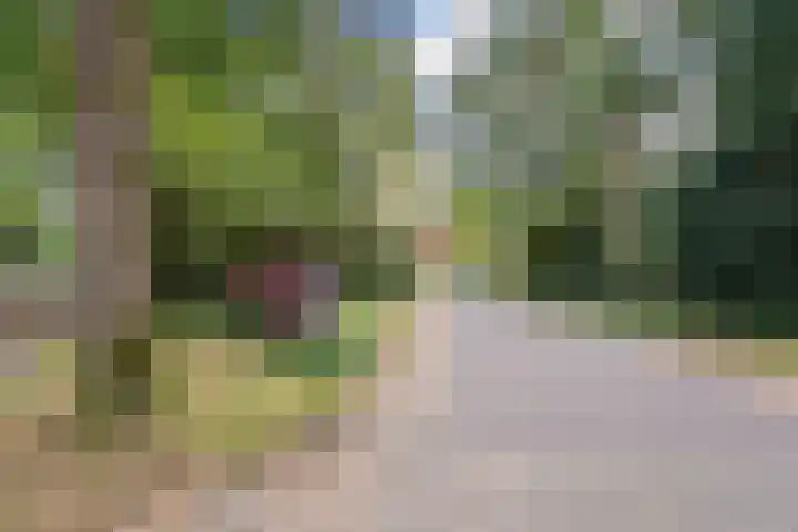 Koningin Emmalaan 29 80 Ermelo thumbnail 39