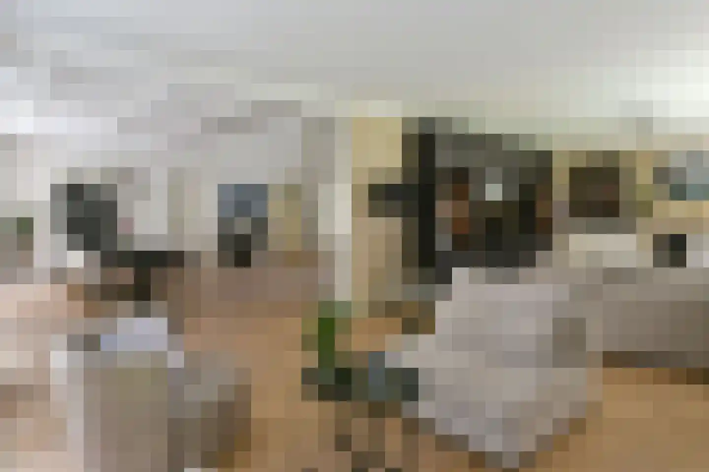 Koningin Emmalaan 3 Blaricum thumbnail 12