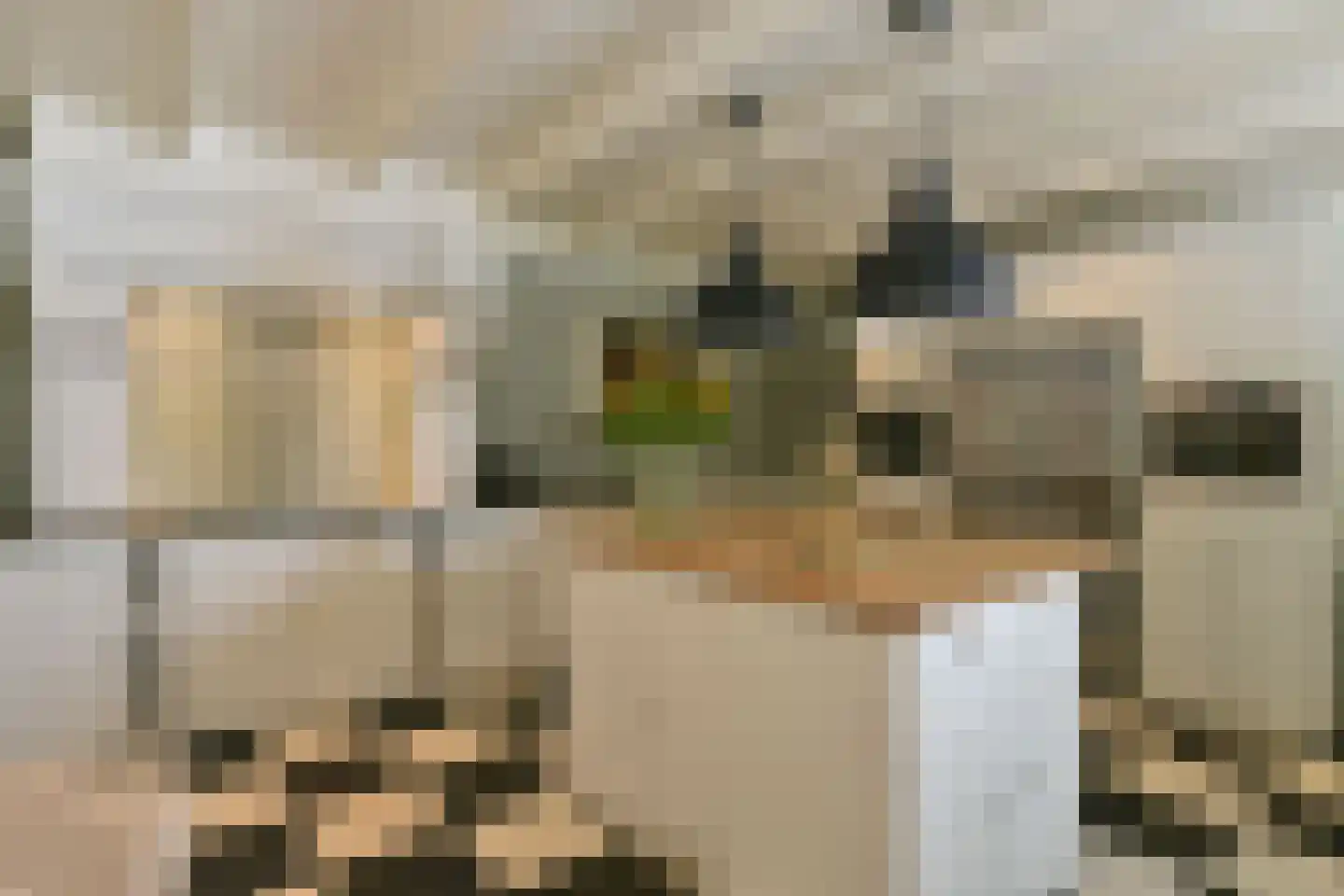 Koningin Emmalaan 3 Blaricum thumbnail 16