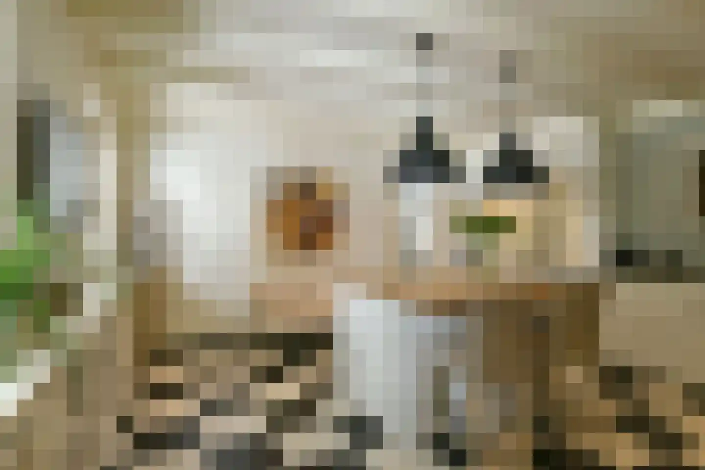 Koningin Emmalaan 3 Blaricum thumbnail 17