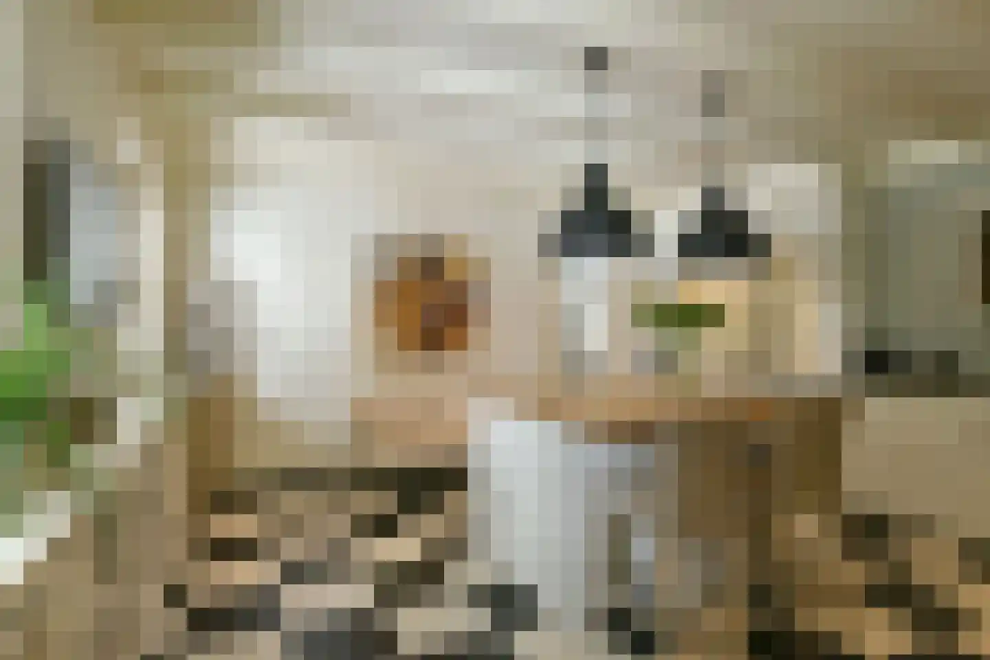 Koningin Emmalaan 3 Blaricum thumbnail 18