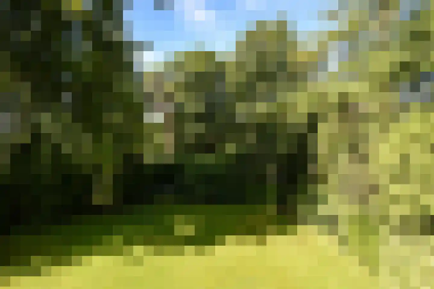 Koningin Emmalaan 3 Blaricum thumbnail 26