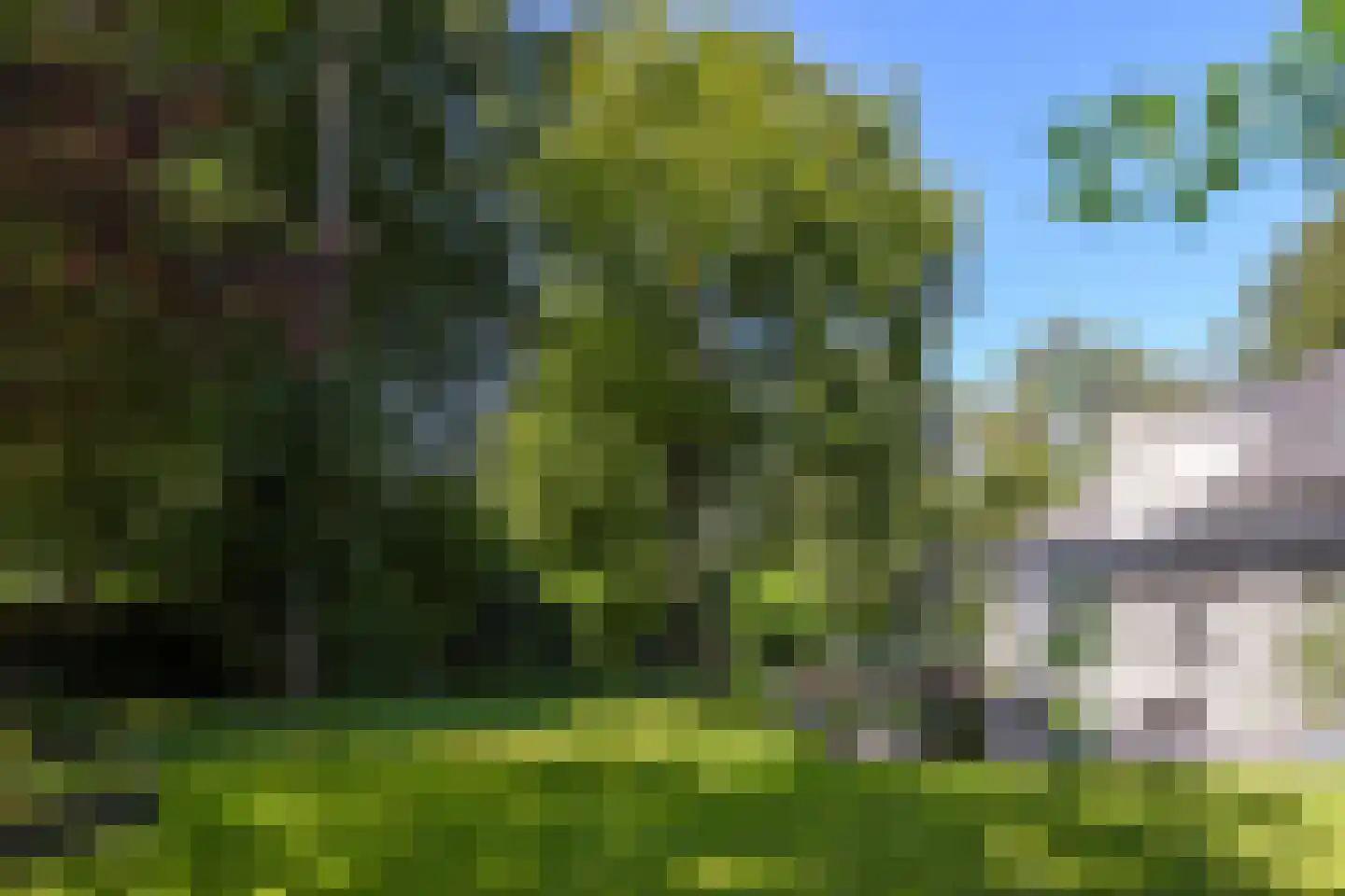 Koningin Emmalaan 3 Blaricum thumbnail 34