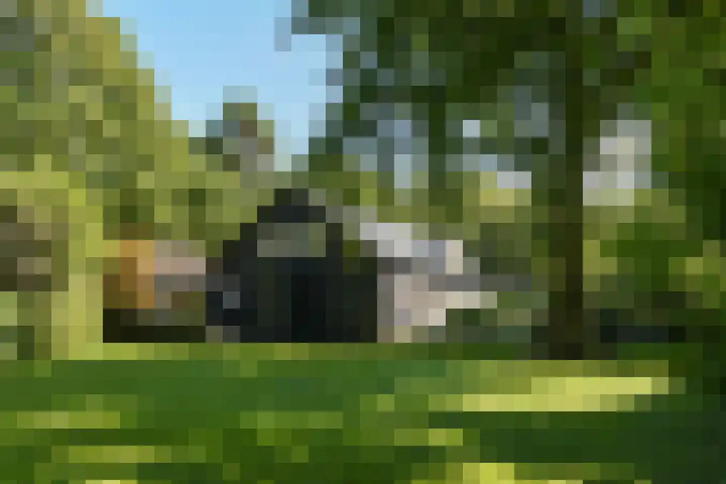 Koningin Emmalaan 3 Blaricum thumbnail 38