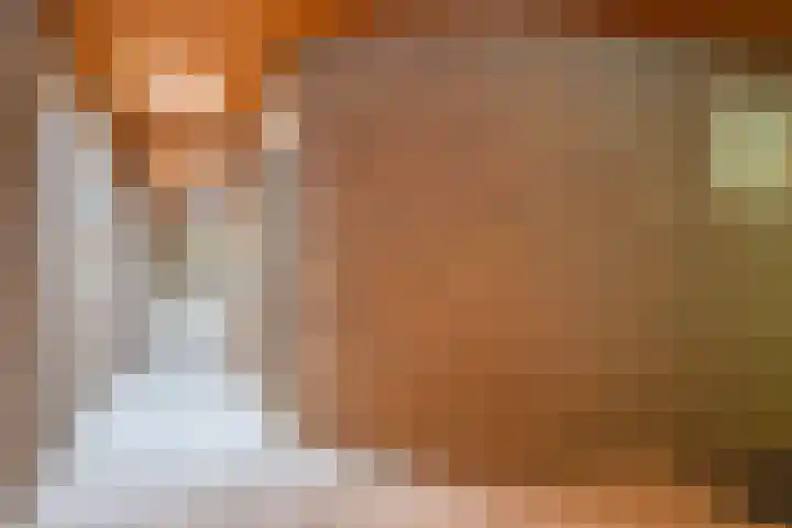 Koningin Emmalaan 3 Eerbeek thumbnail 15