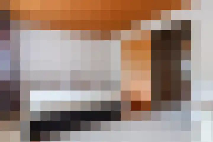 Koningin Emmalaan 3 Eerbeek thumbnail 17