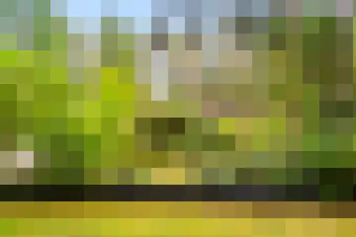 Koningin Emmalaan 3 Eerbeek thumbnail 24
