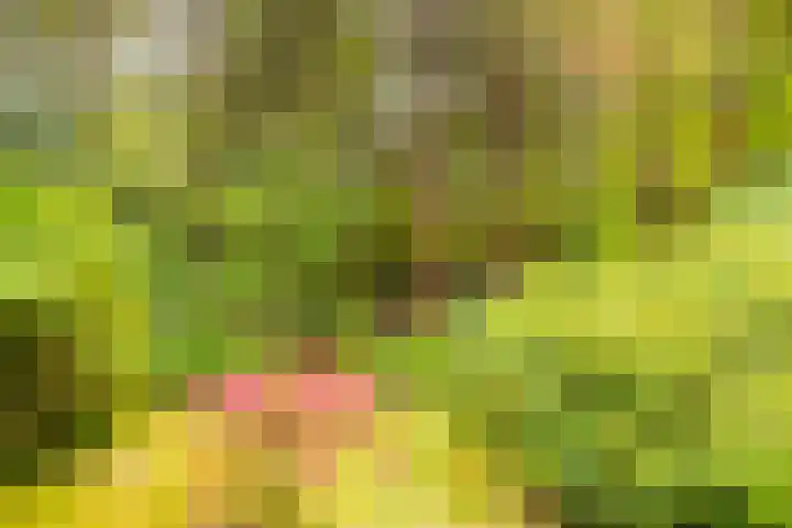 Koningin Emmalaan 3 Eerbeek thumbnail 25