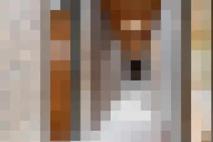 Koningin Emmalaan 3 Eerbeek thumbnail 26