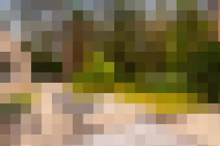 Koningin Emmalaan 3 Eerbeek thumbnail 27