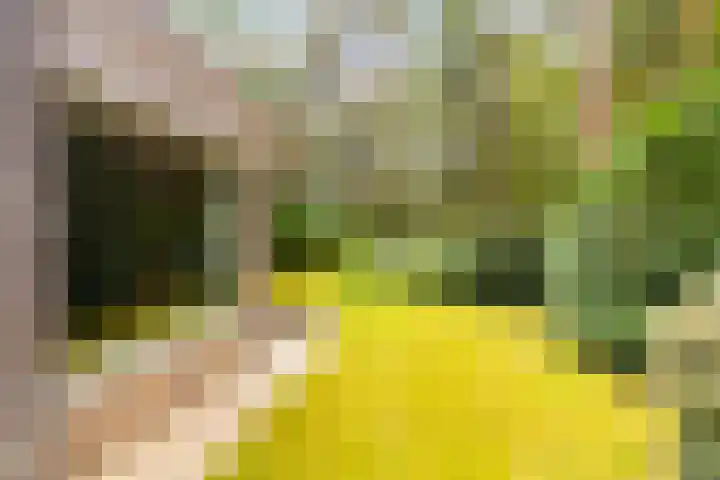Koningin Emmalaan 3 Eerbeek thumbnail 28