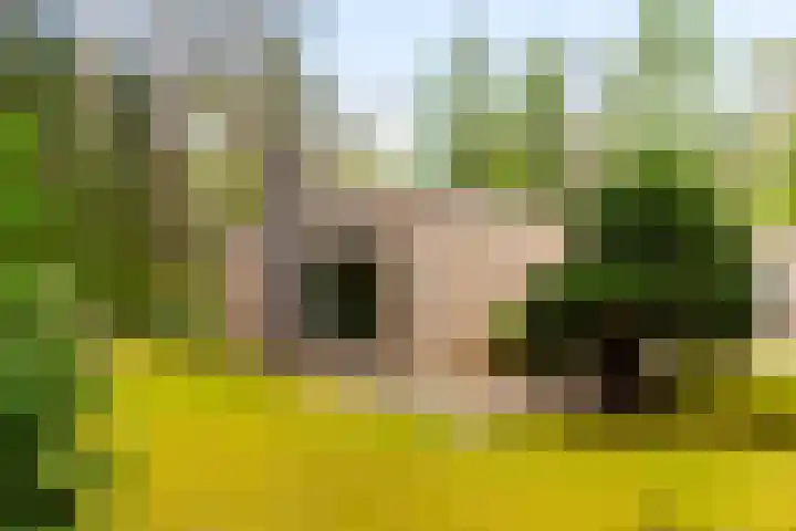 Koningin Emmalaan 3 Eerbeek thumbnail 29