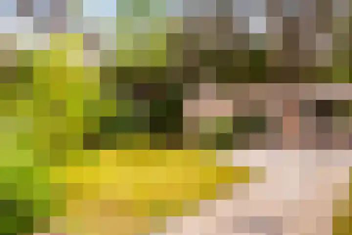 Koningin Emmalaan 3 Eerbeek thumbnail 30