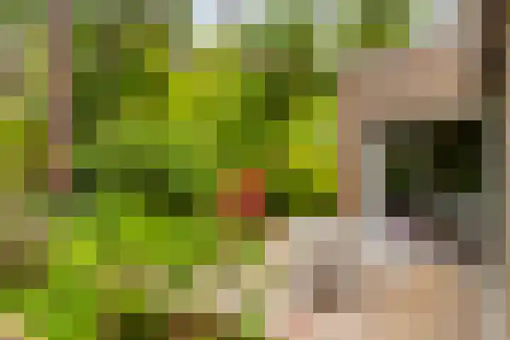 Koningin Emmalaan 3 Eerbeek thumbnail 32