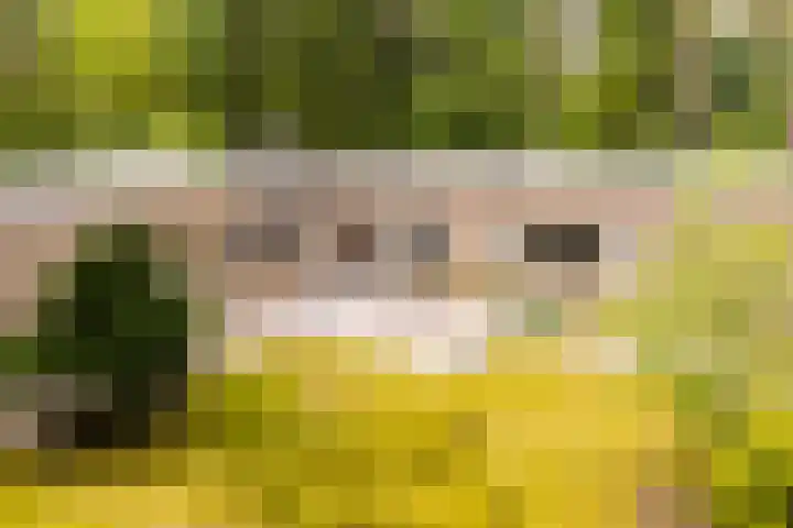 Koningin Emmalaan 3 Eerbeek thumbnail 33