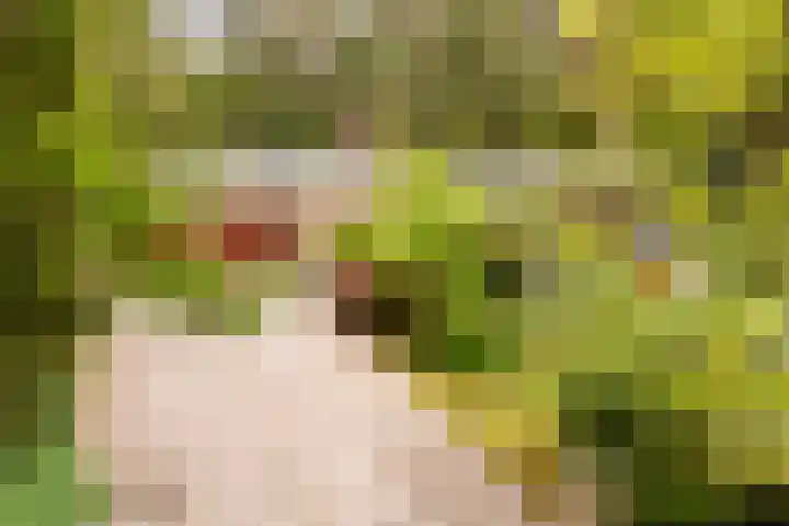 Koningin Emmalaan 3 Eerbeek thumbnail 34
