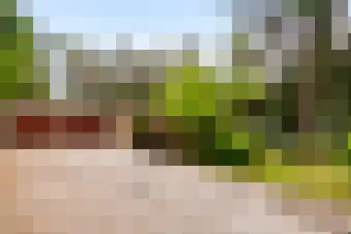Koningin Emmalaan 3 Eerbeek thumbnail 35