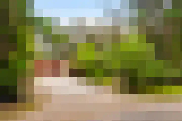 Koningin Emmalaan 3 Eerbeek thumbnail 36