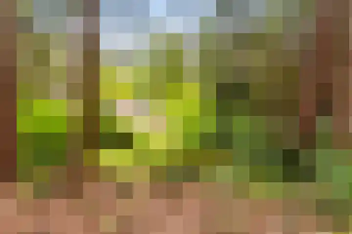 Koningin Emmalaan 3 Eerbeek thumbnail 37