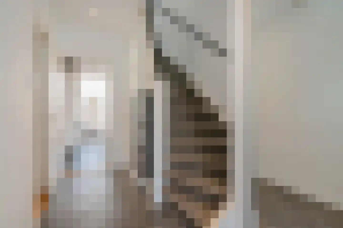 Koningin Emmalaan 43 Leidschendam thumbnail 8