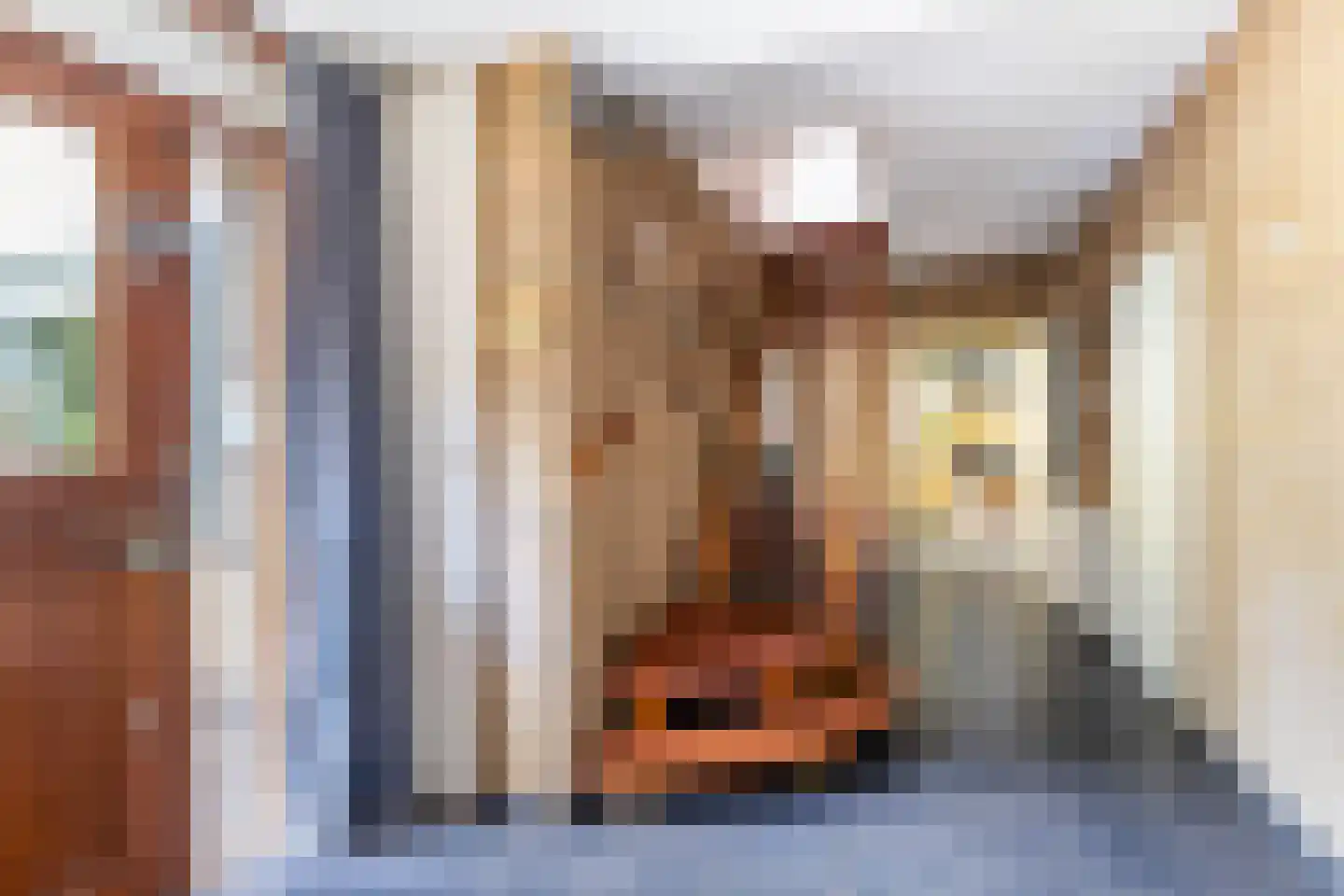Koningin Emmalaan 45 Ermelo thumbnail 39