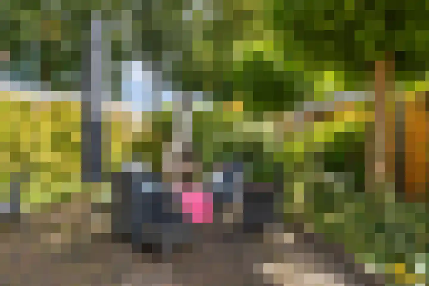 Koningin Emmalaan 45 Ermelo thumbnail 4