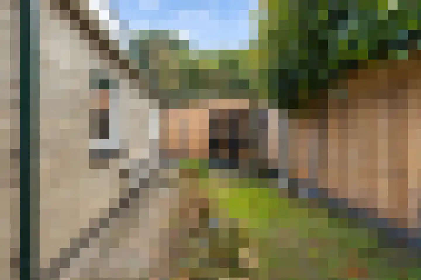 Koningin Emmalaan 45 Ermelo thumbnail 62