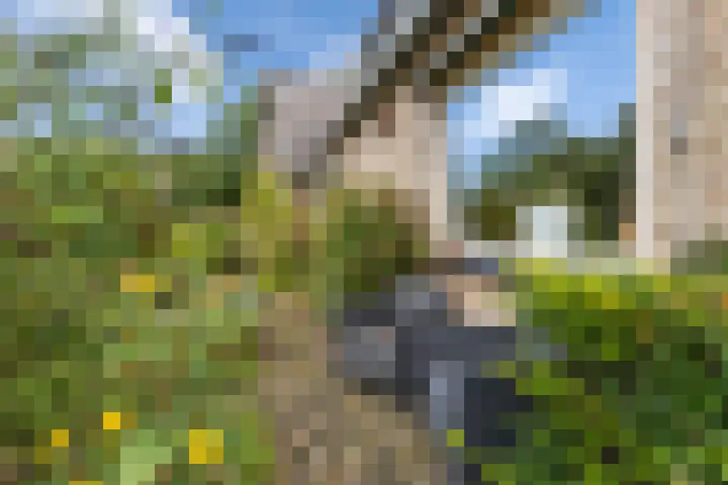 Koningin Emmalaan 45 Ermelo thumbnail 64