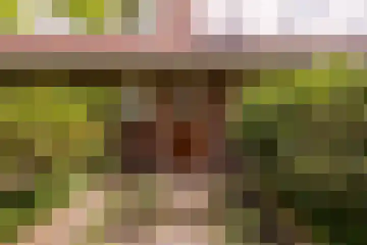 Koningin Emmalaan 46 Ermelo thumbnail 10