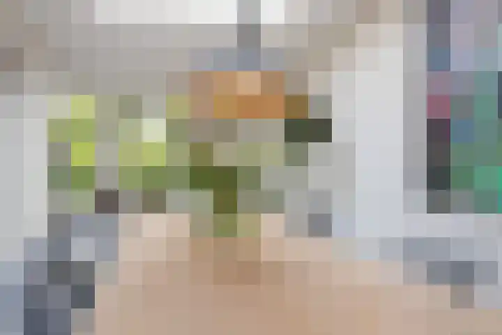 Koningin Emmalaan 46 Ermelo thumbnail 23