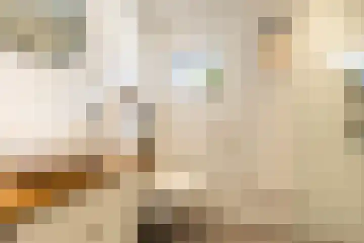 Koningin Emmalaan 46 Ermelo thumbnail 47