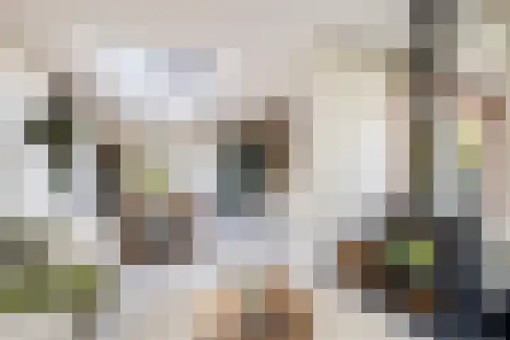 Koningin Emmalaan 46 Ermelo thumbnail 5