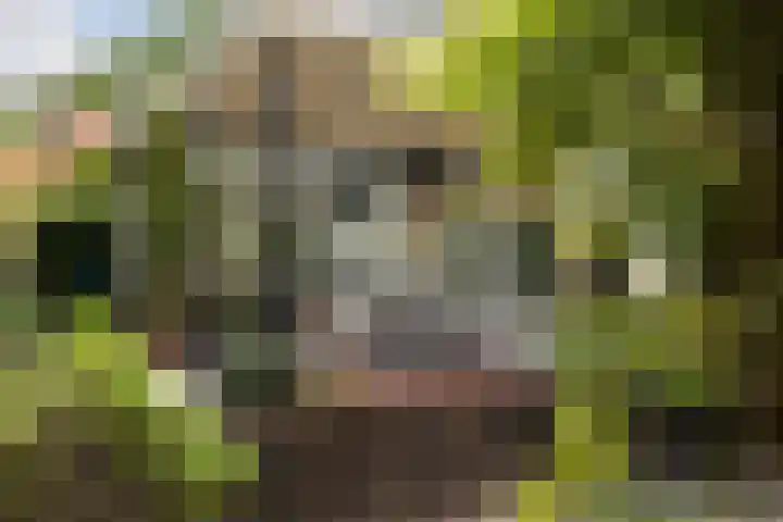 Koningin Emmalaan 46 Ermelo thumbnail 56