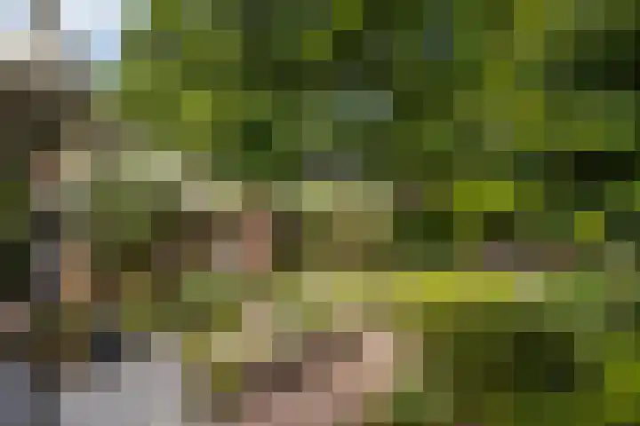 Koningin Emmalaan 46 Ermelo thumbnail 63