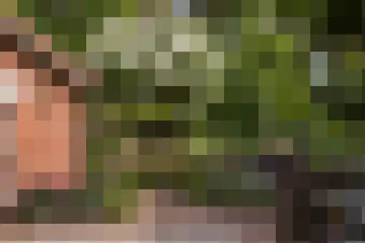 Koningin Emmalaan 46 Ermelo thumbnail 66