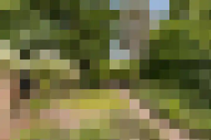 Koningin Emmalaan 46 Ermelo thumbnail 67