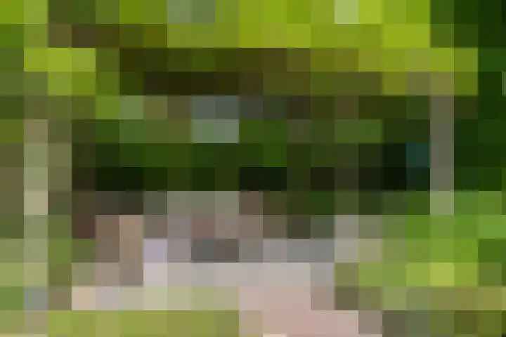 Koningin Emmalaan 46 Ermelo thumbnail 69
