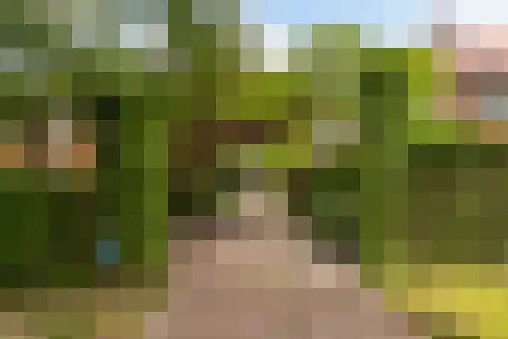 Koningin Emmalaan 46 Ermelo thumbnail 7