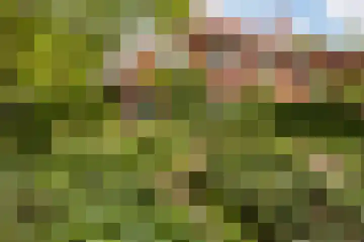 Koningin Emmalaan 46 Ermelo thumbnail 8