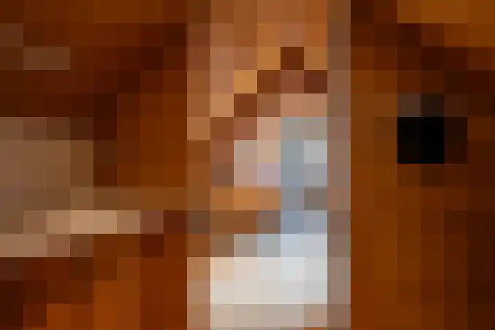 Koningin Emmalaan 8 Ermelo thumbnail 28