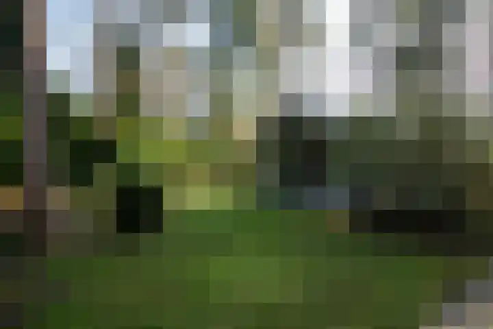 Koningin Emmalaan 8 Ermelo thumbnail 34