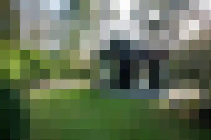 Koningin Emmalaan 8 Ermelo thumbnail 35