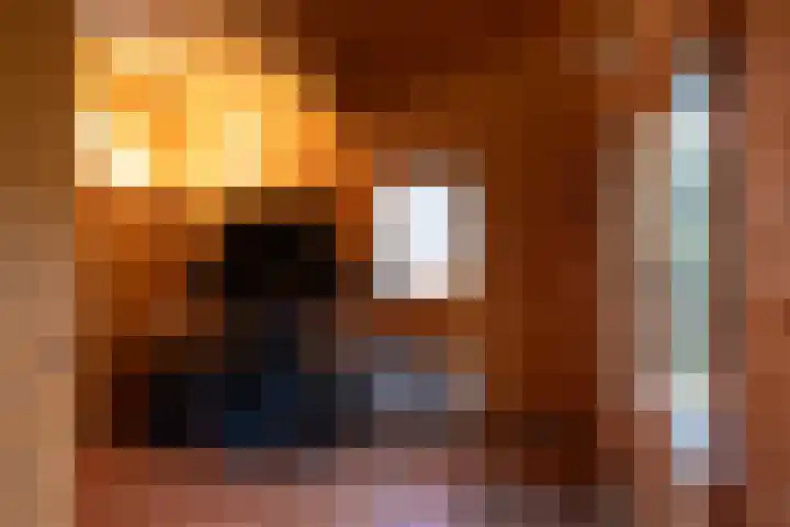 Koningin Emmalaan 8 Ermelo thumbnail 37