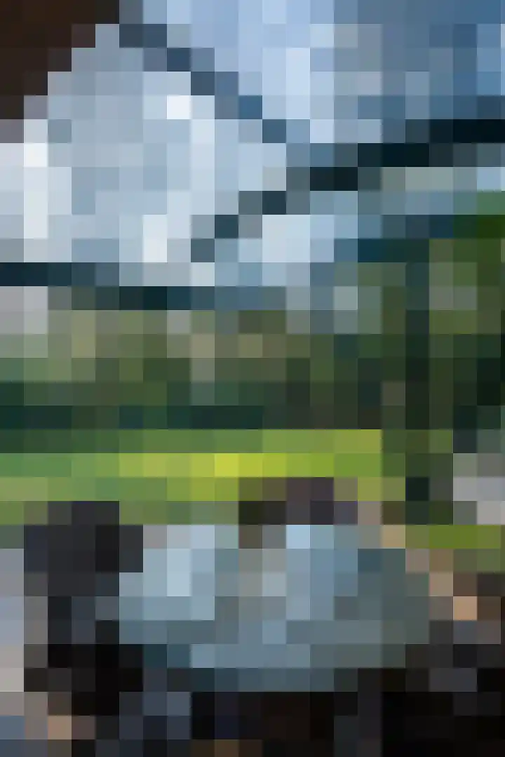Koningin Emmalaan 8 Ermelo thumbnail 45